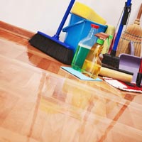 House Cleaning Services